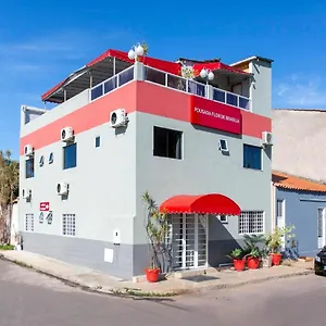 Flor De Brasília